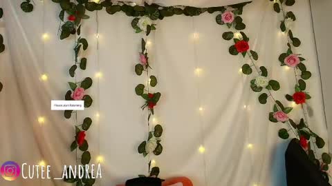 Andrea 3 online show from April 17, 2:24 am