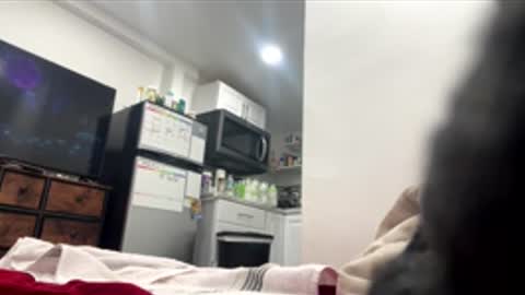 cxrnageinmaze online show from December 23, 1:42 am