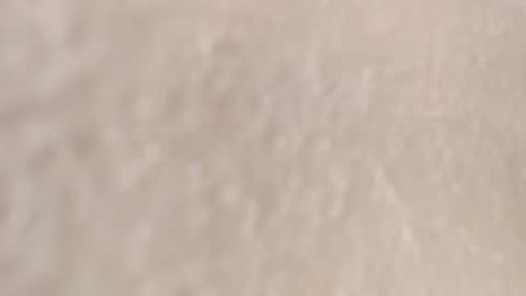 amanda online show from July 4, 3:19 pm