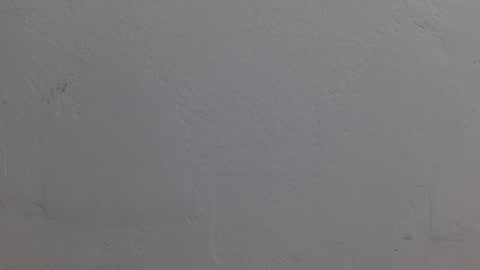 Dakota Johnson online show from November 8, 6:35 pm