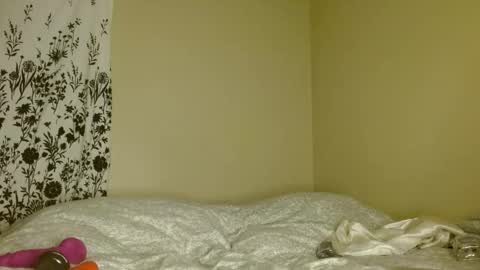 Nova online show from April 8, 7:43 am