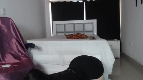 Snapshot of dana_777 chatting on March 8, 8:24 pm Dayana online show from March 8, 8:24 pm