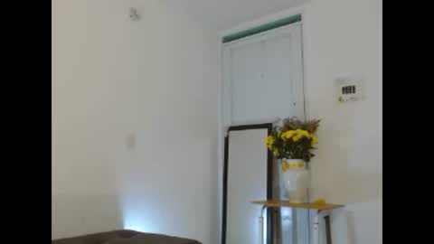 disneey2888 online show from January 8, 2:48 am