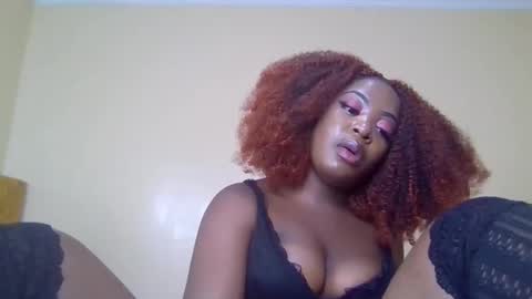 Dixie online show from April 15, 8:37 am