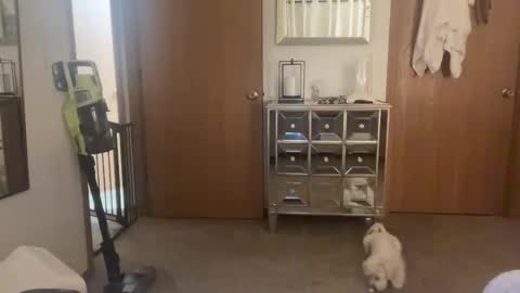 dontbefoolish online show from November 11, 4:41 am