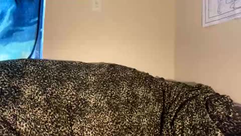 dove_love22 online show from November 30, 9:19 pm