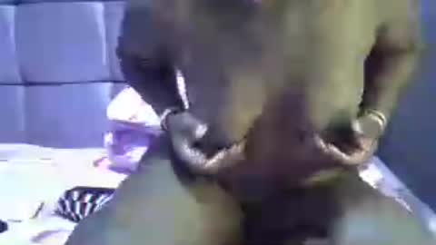 ebonicalprincess online show from July 23, 6:43 am