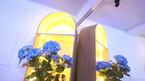 Elasummeer online show from January 9, 11:36 am