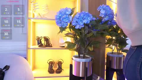 Elasummeer online show from November 10, 11:49 am