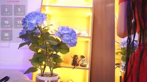 Elasummeer online show from November 20, 11:55 am