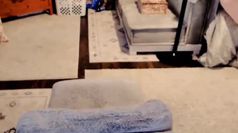 ElinaReign   online show from September 30, 6:08 am