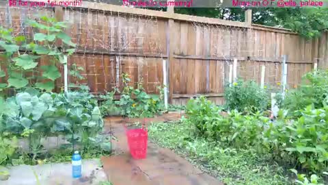 Ella Bella Bo Bella online show from July 21, 2:18 pm