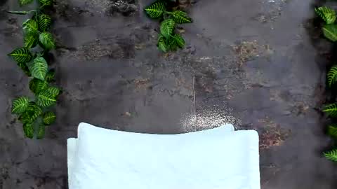 Emily online show from July 3, 6:14 pm