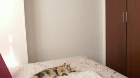 Dayana online show from December 31, 1:52 pm