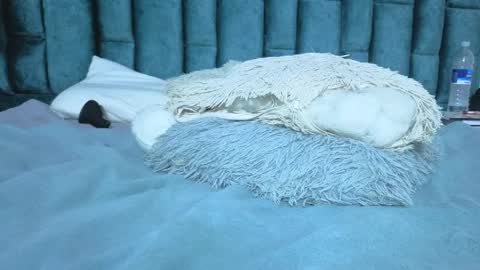 Emma online show from April 4, 12:37 pm