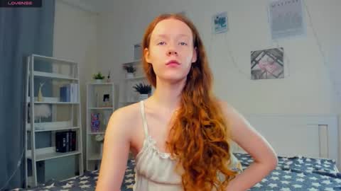 Sofia online show from November 25, 8:27 am