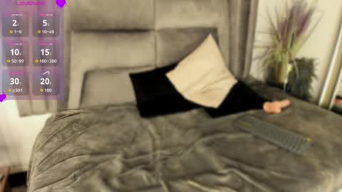 estefany online show from November 25, 3:52 am