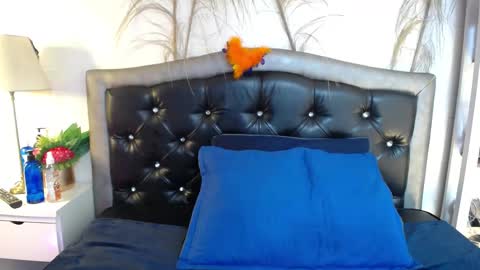 Snapshot of eva_notty_ chatting on February 11, 11:31 am Eva Notty online show from February 11, 11:31 am