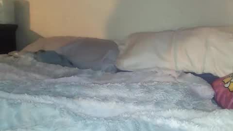 evangeline69xxx online show from February 20, 6:26 am