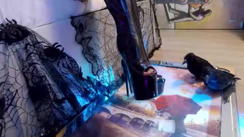 FeetVibe online show from October 24, 8:54 am