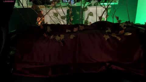 FER  online show from October 31, 1:59 pm