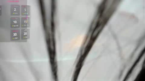 GABRIELA  online show from February 14, 11:34 am