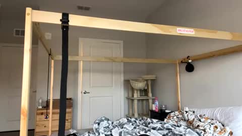 feyaa22 online show from February 1, 1:41 pm