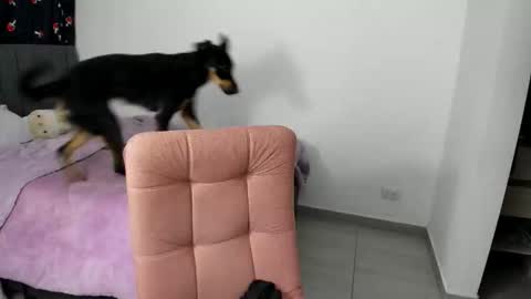 GreciaRuiz online show from January 14, 3:00 am