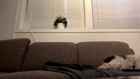 scandixxxs Cam online show from October 20, 12:57 am