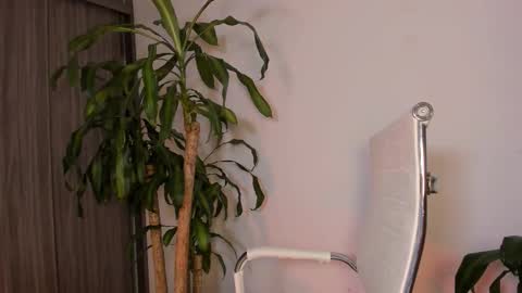 Hailey online show from October 2, 10:31 am