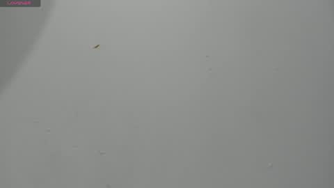 Hailey online show from April 2, 11:57 pm