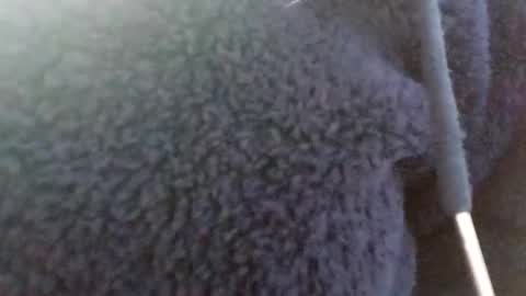 hairypussyxl online show from January 13, 5:33 am