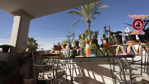 Hannah James online show from November 29, 3:05 pm