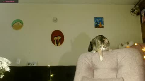 Im Emily and I could be the love of your life    online show from January 15, 2:28 am