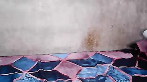 hillaryjade online show from March 9, 3:27 pm