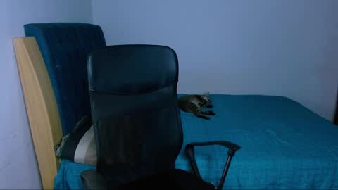      0600AM-1100AM - online show from March 14, 2:23 am