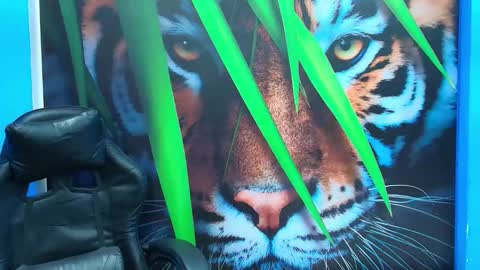 hinataii online show from April 14, 12:27 pm