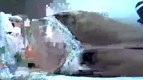 hotberry_7 online show from April 6, 8:37 am