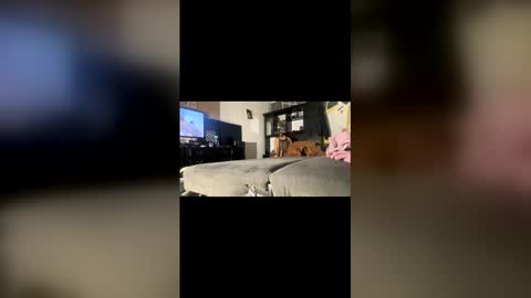 LUIZA XXX666 online show from April 20, 12:57 am