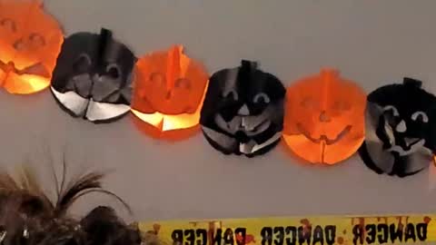 Danielle online show from November 2, 2:09 pm