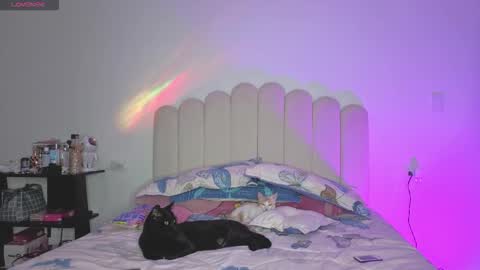 JAZMIN online show from March 16, 11:08 pm