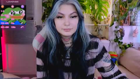 Jelya online show from November 12, 2:48 pm