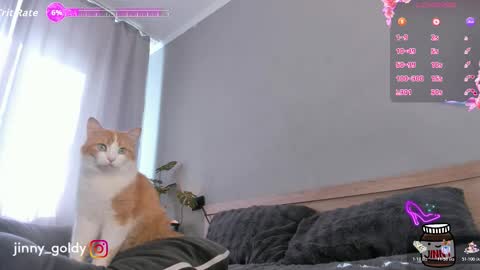 MY NEW INSTA jinny goldy online show from February 15, 7:51 am