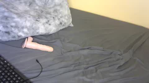 bardies dolly online show from April 18, 12:57 am