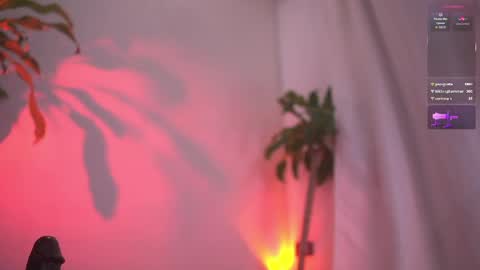 Sisi online show from April 6, 4:46 am