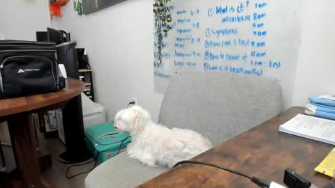 Jules and Eli online show from March 20, 5:40 pm