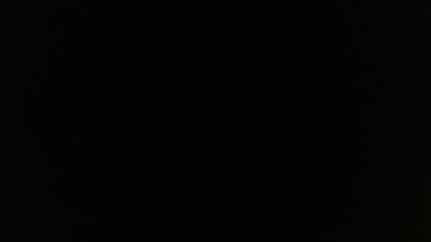 Kamelia  6 am-10 am  4 pm-6 pm online show from February 19, 11:17 am