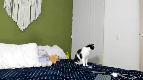 Karlye online show from April 19, 1:49 am