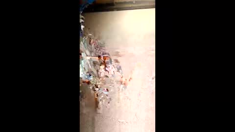 KushGardens online show from January 11, 2:49 am