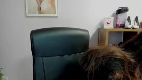 Kate  online show from January 10, 8:30 am